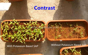 <span class=keywords><strong>Hidrogel</strong></span> de Poliacrilato de Potasio para Uso Agrícola en Plantas, Polímero Superabsorbente SAP, <span class=keywords><strong>Hidrogel</strong></span> Cristalino - Product Image 4