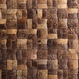 Natrual <strong>Coconut</strong> Shell in Light Colour Coin Chip <strong>Wooden</strong> Mosaic
