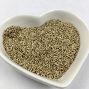bermuda grass seed-bermuda grass seed manufacturers, suppliers
