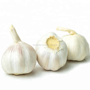 China <span class=keywords><strong>elefante</strong></span> de <span class=keywords><strong>ajo</strong></span> blanco fresco de 5 cm, 7 kg bolsa de malla para la <span class=keywords><strong>venta</strong></span> - Product Image 4
