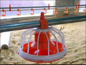 Hazır Satış Otomatik Broiler Tavuk Çiftliği için mekanik Ekipman ve Tavuk - Product Image 6