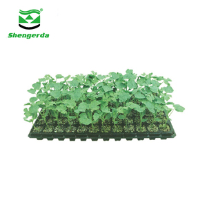 Vasi per <span class=keywords><strong>Fiori</strong></span> Direttamente dalla Fabbrica, Vassoi per Semina, Vasi Economici per Coltivazione di <span class=keywords><strong>Fiori</strong></span> e Ortaggi, Vasi Semplici per Piante, Vendita all'Ingrosso - Product Image 2