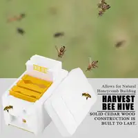 גן קציר כוורת כוורות מלך תיבת האבקה תיבת דבורת גידול דבורים כלי עבור גן האבקה