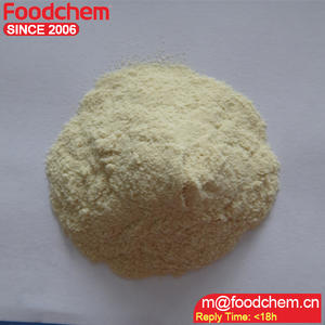 Food Additives Vital Wheat <strong>Gluten</strong> Bulk Price
