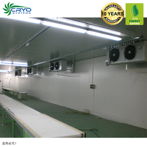Brócoli fresco para instalaciones de cámara frigorífica en california cámara frigorífica <span class=keywords><strong>oeste</strong></span> distribución de sala fría - Product Image 4