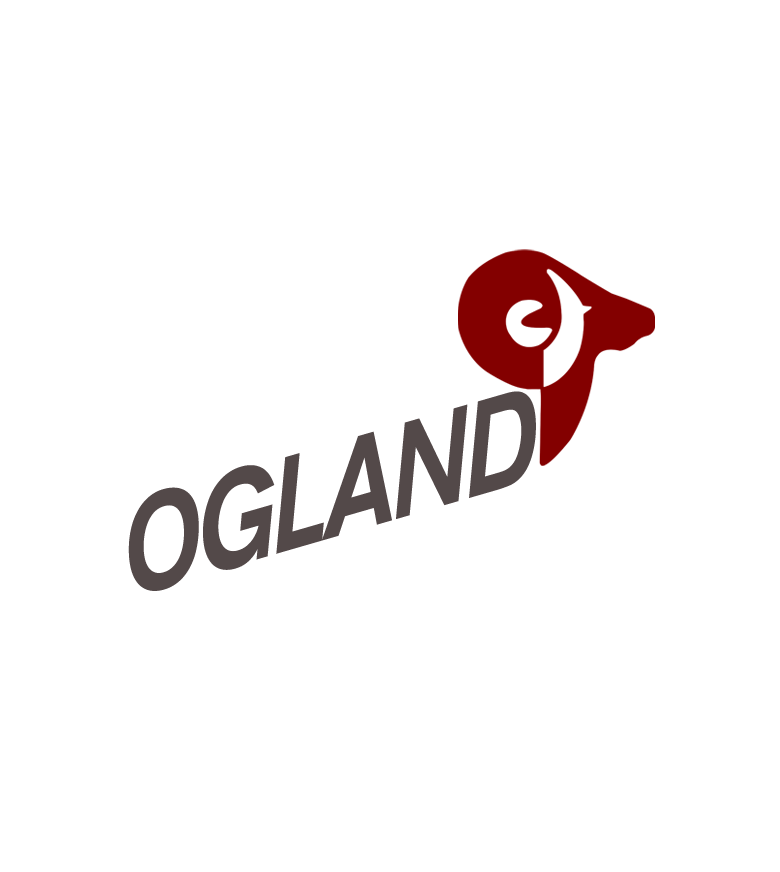 Henan OG Land Import And Export Trading Co., Ltd. logo