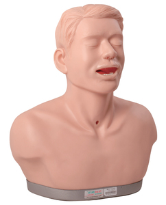 GD/LV52 Médecin Généraliste Laryngologie Modèle D'examen - Product Image 1