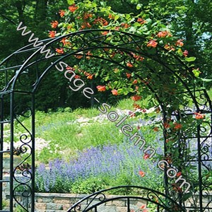 Arche de jardin <span class=keywords><strong>en</strong></span> fer forgé antique, arche et tonnelle <span class=keywords><strong>en</strong></span> métal sur mesure - Product Image 3