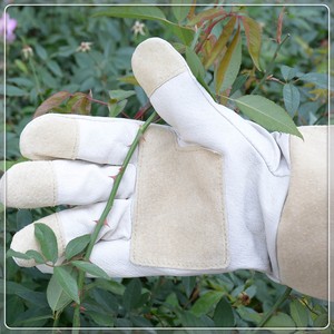 PRI Rose guantes de poda, guantes de jardinería a prueba de espinas, guantes largos de jardín para damas - Product Image 3