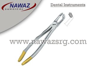 Fórceps de extracción de dientes dentales Fig.79 Diam Logotipo personalizado de calidad superior plateado con instrumentos dentales de acero inoxidable dorado - Product Image 2