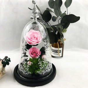 Rosas <span class=keywords><strong>de</strong></span> <span class=keywords><strong>La</strong></span> <span class=keywords><strong>Bella</strong></span> <span class=keywords><strong>y</strong></span> <span class=keywords><strong>La</strong></span> <span class=keywords><strong>Bestia</strong></span> infinito rosas eternas rosas preservadas en <span class=keywords><strong>la</strong></span> aguja <span class=keywords><strong>de</strong></span> cristal - Product Image 5