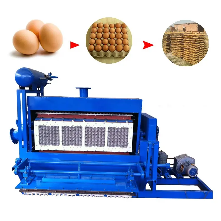 Máquina de fabricación de bandejas de fruta, huevos y huevos