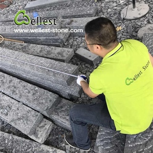 Ananas G654 Gris <span class=keywords><strong>Granit</strong></span> <span class=keywords><strong>pour</strong></span> Routes Bord - Product Image 4
