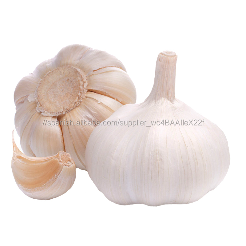 Ajo Natural incluido