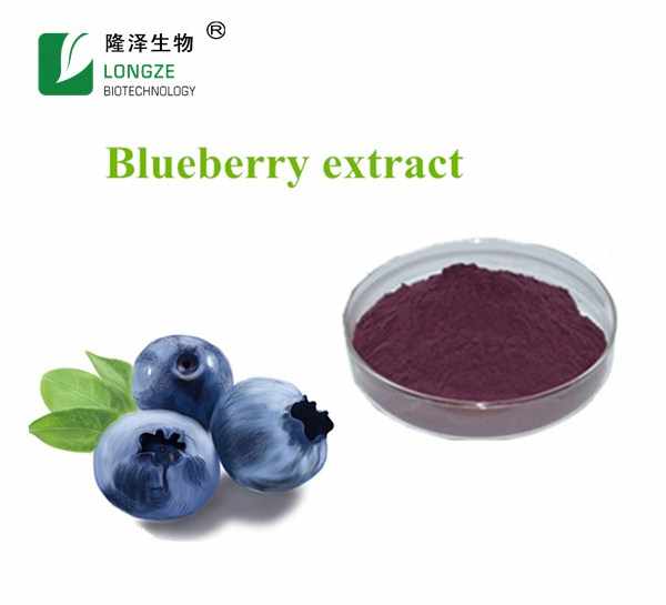 Organic Blueberry Extract/Fruit Powder