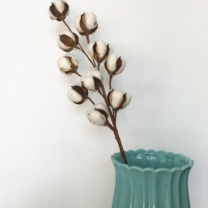 10 têtes 22 pouces coton conservé fleur séchée blanc coton naturel tiges de bulle pour la décoration de la ferme - Product Image 2