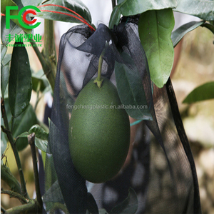 Filets en plastique noir pour l'agriculture fruitière / Filets en maille pour arbres fruitiers en PE vert avec une corde noire résistante utilisée pour les palmiers à dattes - Product Image 3