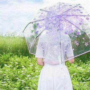 Ovida Nouveauté <span class=keywords><strong>Parapluie</strong></span> de voyage transparent à 3 plis en polyester POE de 21 pouces avec logo personnalisé - Product Image 1
