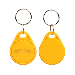 Thời Gian Dẫn Ngắn EM4100 125KHz Thẻ RFID Keychain