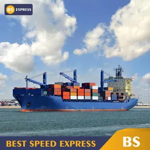 Quality inspection service Best Professional international sea china to valencia