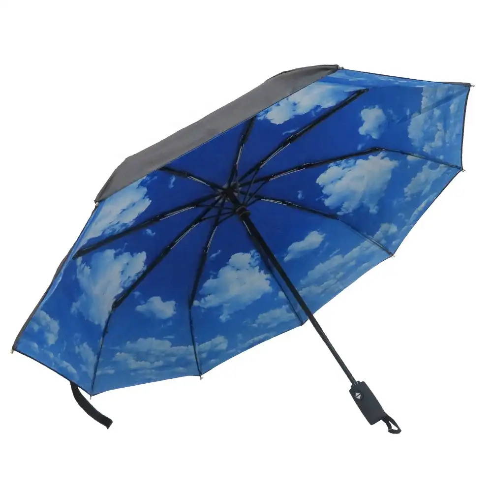 Auto Open Close Double Canopy Blue Sky Print Folding Umbrella for Lady