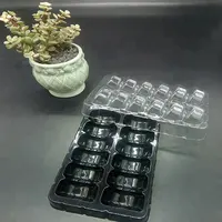 Riciclabile blister di plastica PET scatola di imballaggio macaron vassoio con coperchio