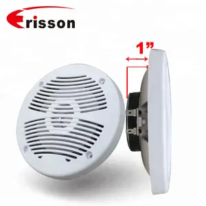 OEM 6.5 Inch 20W IPX6 Waterproof Caravan House RV Speaker