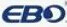 Jiande Ebo Technlology Co., Ltd. logo