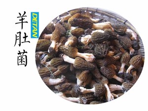 yunnan sauvages <span class=keywords><strong>morilles</strong></span> fraîches meilleur <span class=keywords><strong>prix</strong></span> - Product Image 1