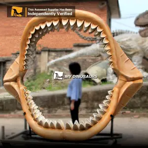 IL MIO DINO-M24 Animale fossile grande squalo bianco mascella fossile