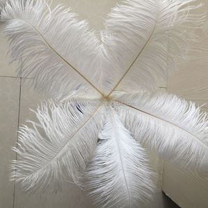 Plumes d'<span class=keywords><strong>autruche</strong></span> artificielles blanches de 40 à 45 cm, <span class=keywords><strong>prix</strong></span> de gros, pour la décoration de mariage - Product Image 5