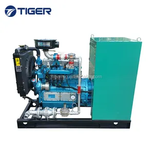 Generator Biogas 10KW Bersertifikasi CE untuk Tanaman Biog Kecil