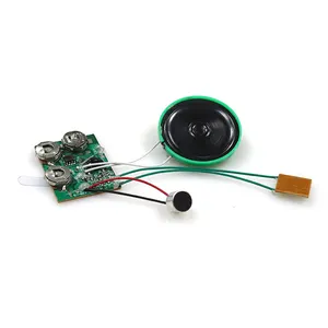 Módulo de sonido con sensor de movimiento grabación Módulo de grabación de voz de clip