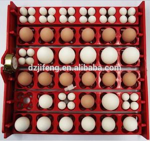 완전히 자동적인 산업 병아리 계란 승강구 기계 - Product Image 2