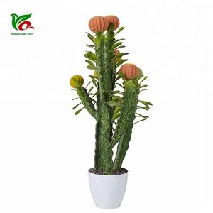 Thiết Kế tốt 80 cm Areg Cây Saguaro Cây Xương Rồng Loài Thực Vật Cây Xương Rồng Nhà Máy Đặt - Product Image 2