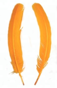 Turchia Piuma <span class=keywords><strong>Ali</strong></span> <span class=keywords><strong>con</strong></span> il Nero/marrone punta - Product Image 2