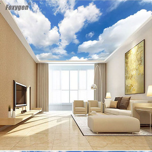 Diseños <span class=keywords><strong>de</strong></span> Techo Pop, Techo Extensible Tipo <span class=keywords><strong>Cielo</strong></span> para Vestíbulo, Decoración del Hogar, Película <span class=keywords><strong>de</strong></span> Techo Extensible <span class=keywords><strong>de</strong></span> <span class=keywords><strong>PVC</strong></span> Impresa - Product Image 2