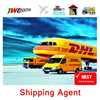 Coût FCL Express Saver Suivi Expédition de fret Dédouanement Inspection Agent de fret de Chine vers la Gambie/Mali Fedex vers l'Inde