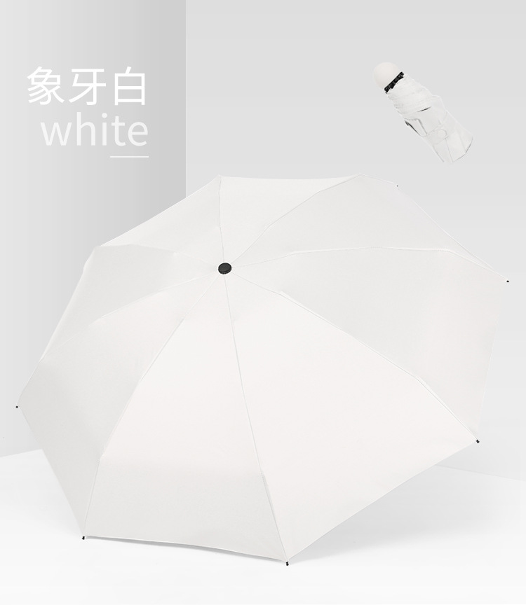Lvory blanc