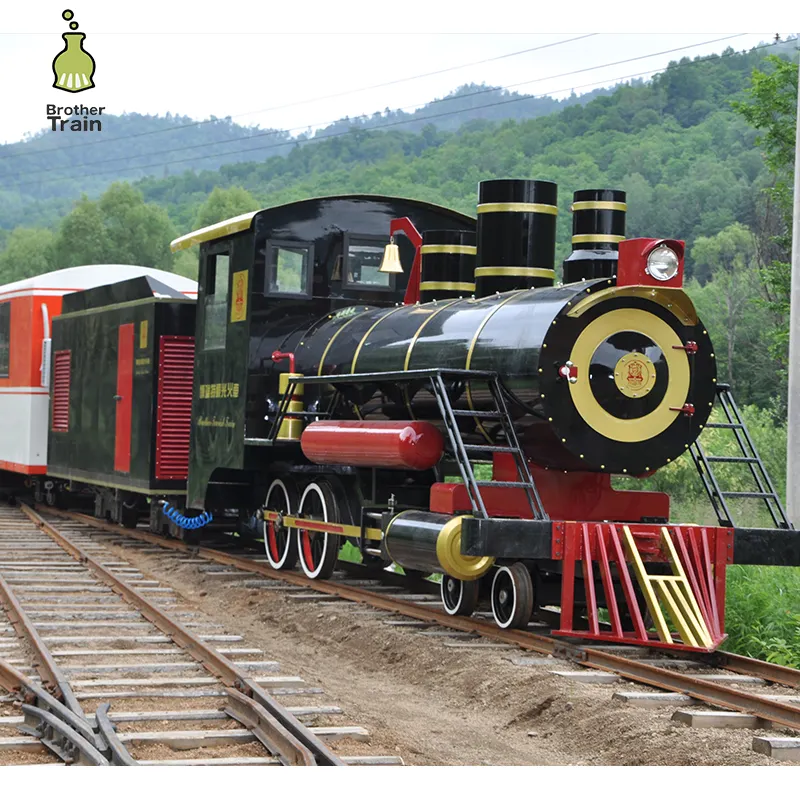 Custom locomotief kids elektrische amusement tuin spoor trein ritten