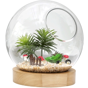 Terrarium en verre soufflé à la bouche fait à la main avec support en bois - Product Image 2