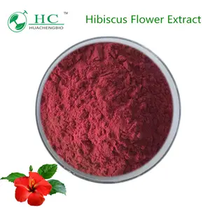5%-25% antocianidine, 10:1, 1: 1 estratto di fiori di ibisco Sabdariffa