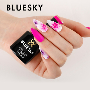 UV LED nail art kit gel polaco fabrica - Product Image 3