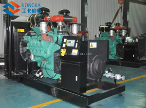열병합 열병합 화력 발전소 바이오 가스 발전기 20kw - Product Image 2