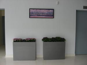 Factory Direct Sales Light Weight Durable Large Customize <strong>Rectangle</strong> Fiberglass Resin <strong>Planter</strong> for Outdoor - Product Image 6