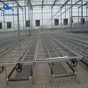 Chenchao nhà sản xuất cường độ Cao nhà kính luống mức giá tuyệt vời