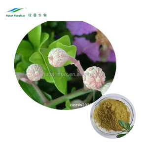 100% producto natural extracto de hoja de Banaba ácido corosólico, precio al por mayor extracto de Lagerstroemia Speciosa - Product Image 1