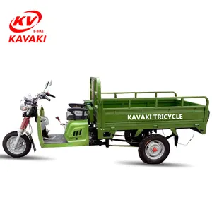 OEM kavaki العلامة التجارية نيجيريا باجاج 110cc محرك عمود فقري دراجة ثلاثية العجلات