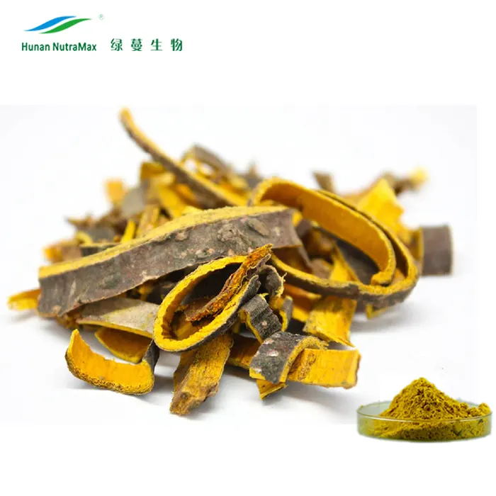 Huang Bai Phellodendron Amurense Bark Extract 97% Berberine HCL CAS GEEN.: 633-65-8