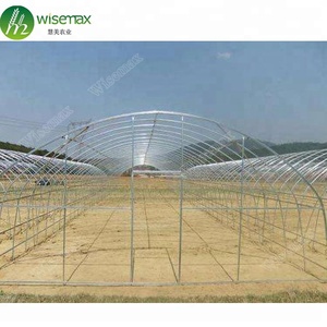 Commercial/Agricultural Poly Tunnel <strong>Plastic</strong> <strong>Greenhouse</strong> Malaysia for Sale - Product Image 3